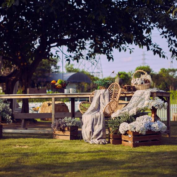 树林森林餐桌法式田园自然主义森系草地大木桌封面图