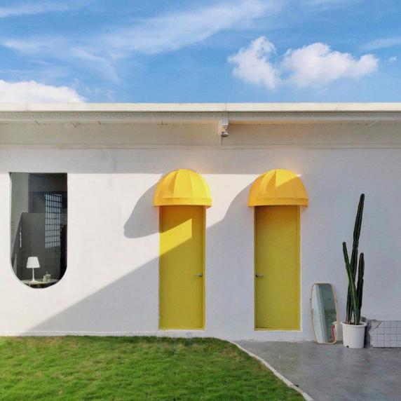 森系草地草坪绿植白墙封面图