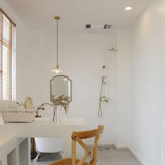 客房莎草封面图